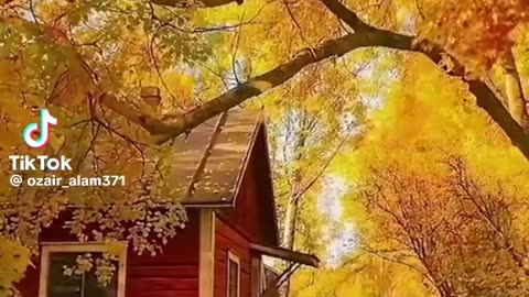 Beauty of Pakistan