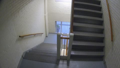 3883FHOB03Stair7_2021-01-05_07h09min30s800ms.mp4