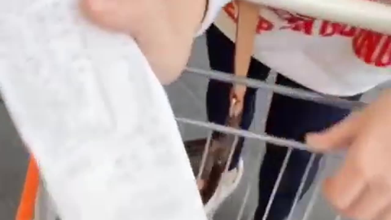 Nesze neked Orbánia, megint