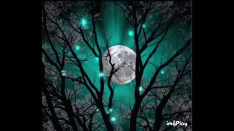 The Power Within☯️