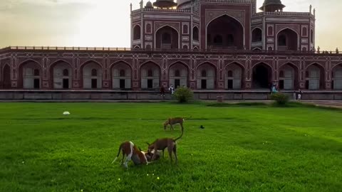 Bahaara Bahaara Beatifull Taj mahal india