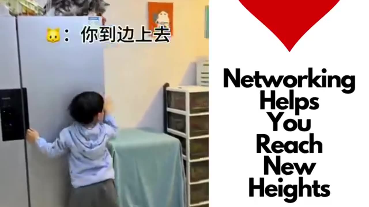 Very Wise Cat #shorts #shortvideo #video #virals #videoviral
