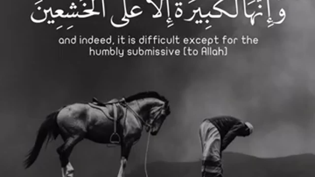 القرأن الكريم