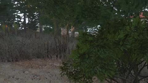 ARMA 3 | Infiltração na Mata em Meio a Bombardeio! #arma #arma3 #arma3review