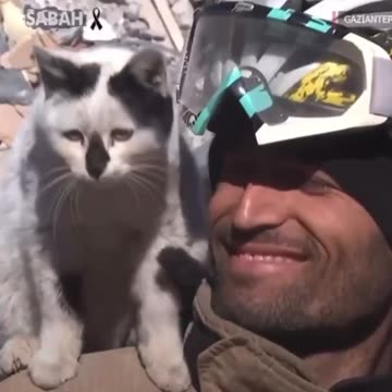 So sweet 💙 Cat saved by rescue team in Turkey