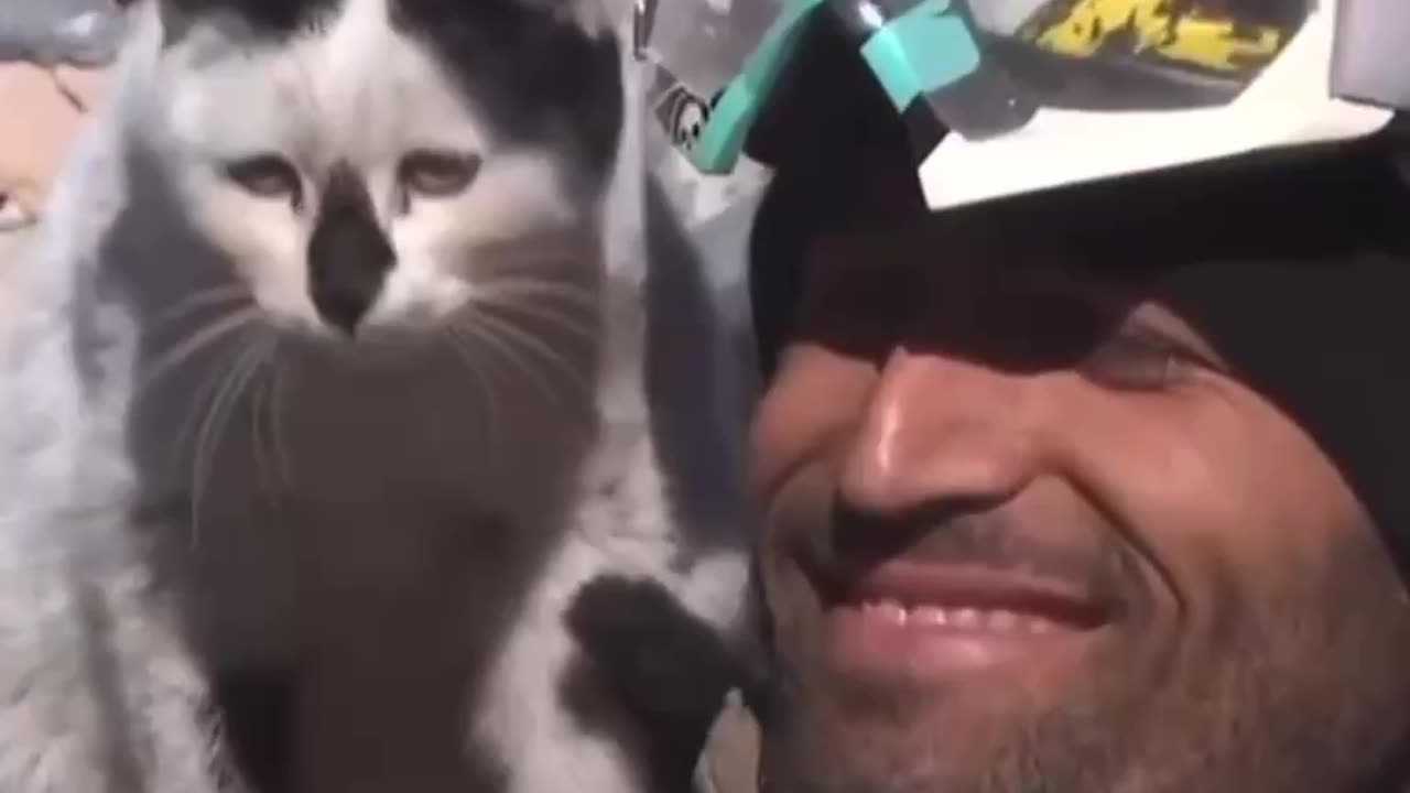 So sweet 💙 Cat saved by rescue team in Turkey