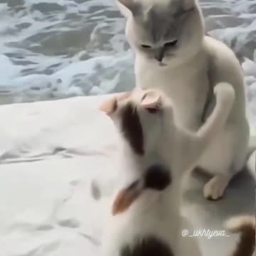 So Sweet... Falling In Love Moment