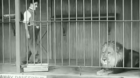 Charlie Chaplin - The Lion's Cage