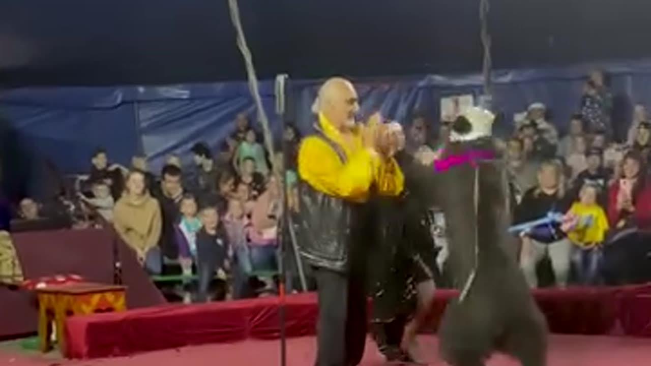 The circus crew learns a lesson not to underestimate a wild animal!