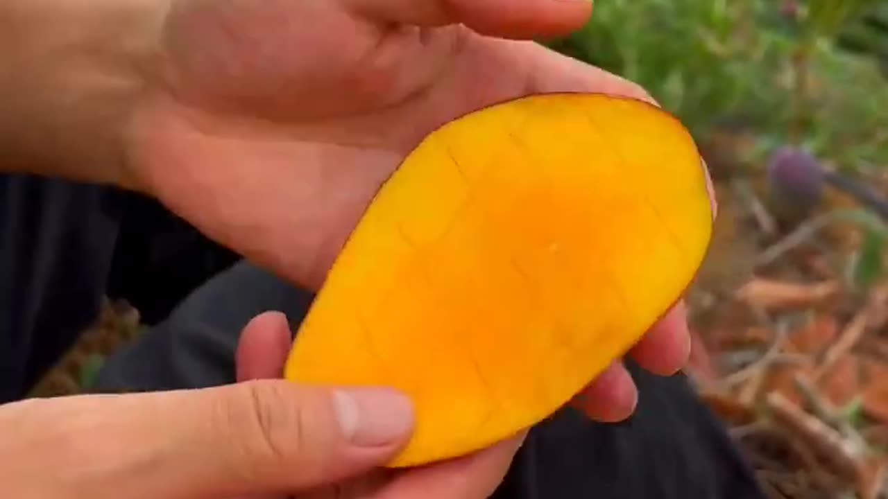 Mango video