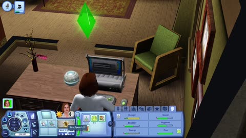 The Sims 3, Mappie 15c