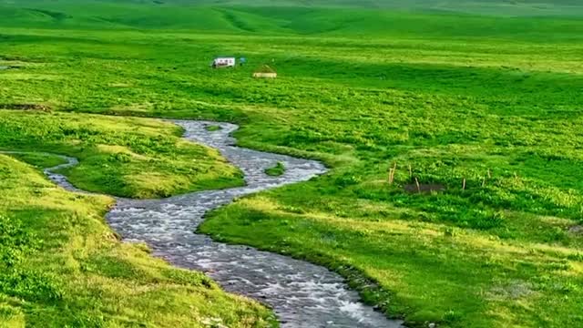 The most healing thing is the scenery of this Nalati grassland.