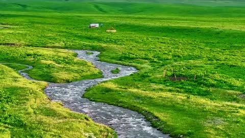 The most healing thing is the scenery of this Nalati grassland.