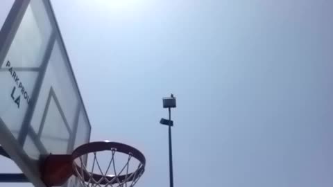 Sunday, June 4, 2:42pm finish, 2023.