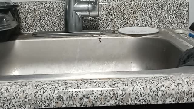 The un-spinnable rise in crime