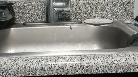 The un-spinnable rise in crime