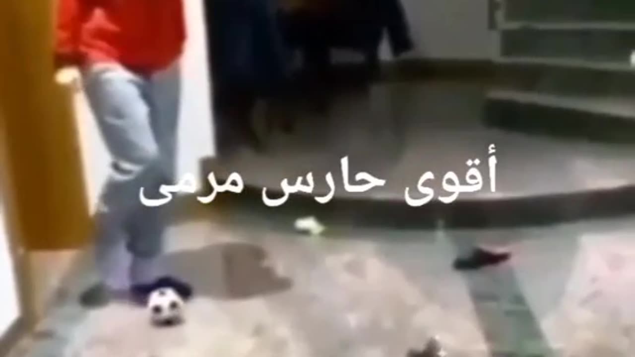 How much is a while 😺😁the one 🕐the best of the room