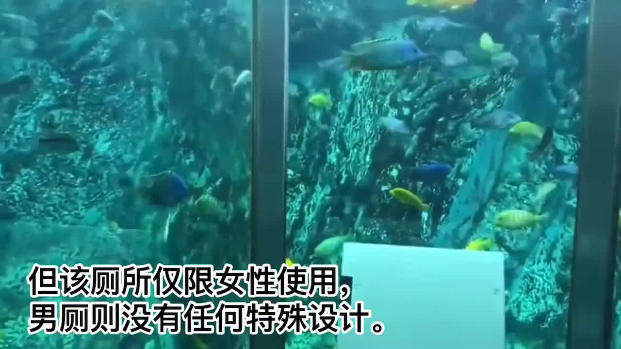 Japanese "aquarium toilet" is popular. Do you want to experience it?