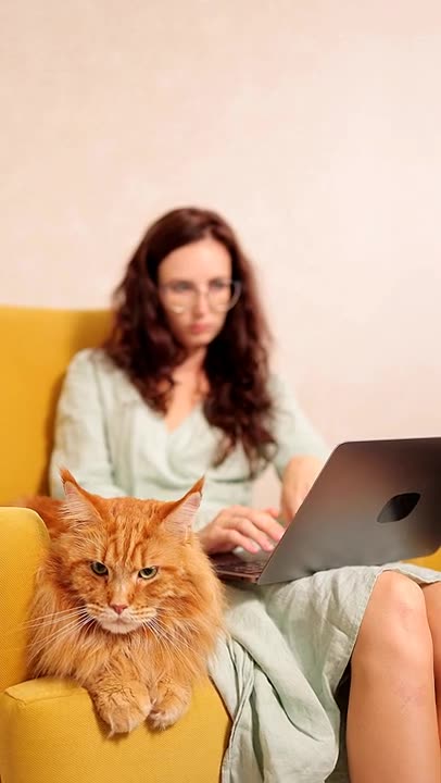 Maine Coon Genetics #Shorts