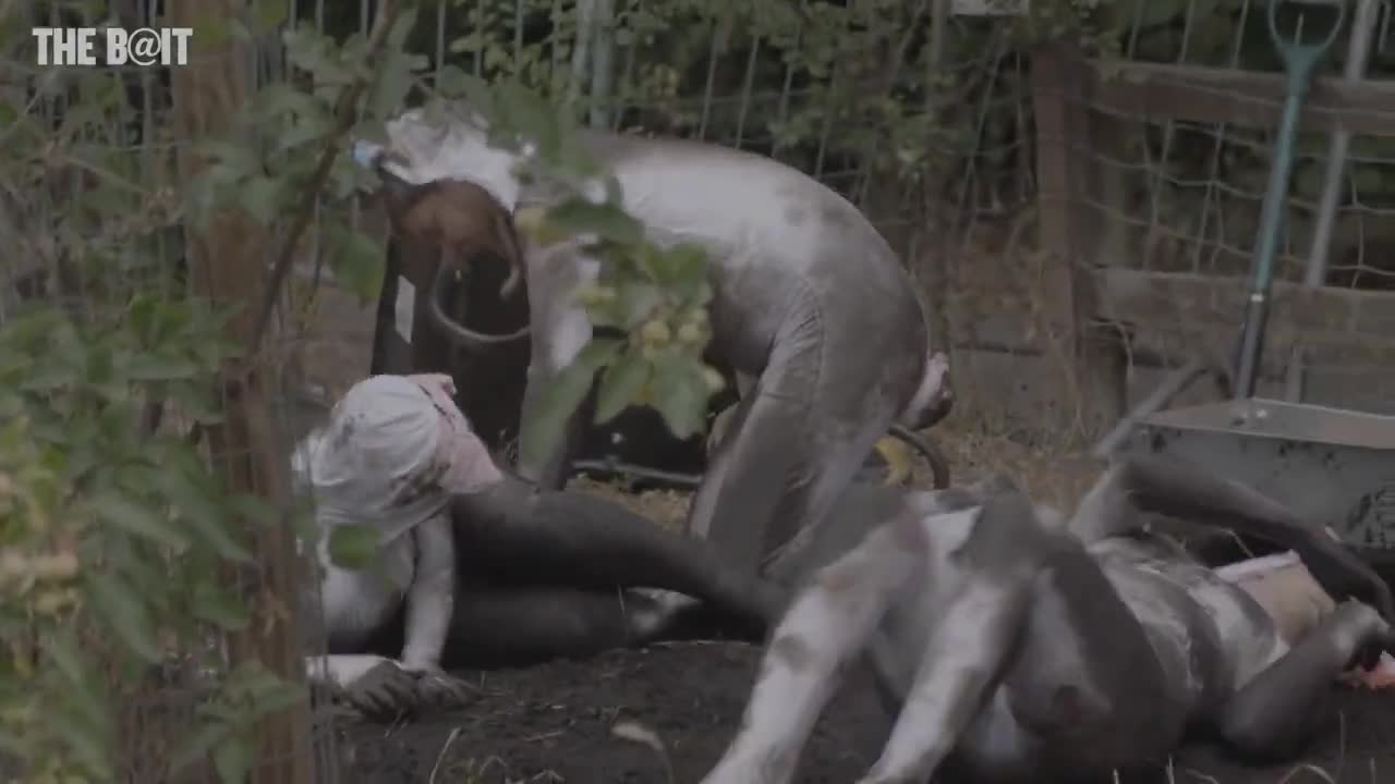 People are paying up to £1200 to live like pigs, this is what they do
