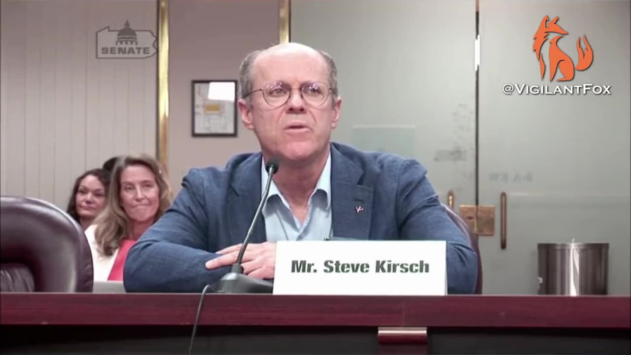 Steve Kirsch Testifies the Truth About All Vaccines to Pennsylvania State Senate.