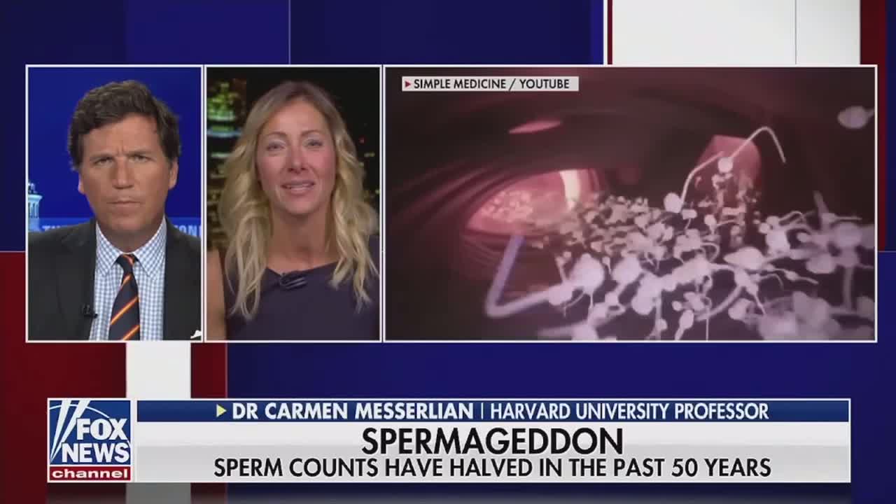 Sperm counts are dropping around the globe. SPERMAGEDDON