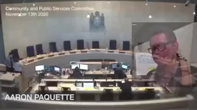 Dr. Roger Hodkinson speaks to Committee public services