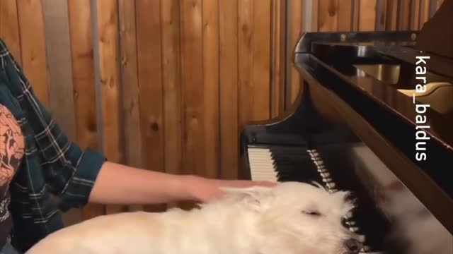 Autumn Leaves _kara_baldus_-__piano