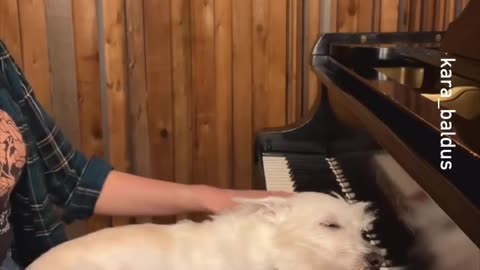Autumn Leaves _kara_baldus_-__piano