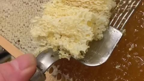Woww Satisfying Honeycomb