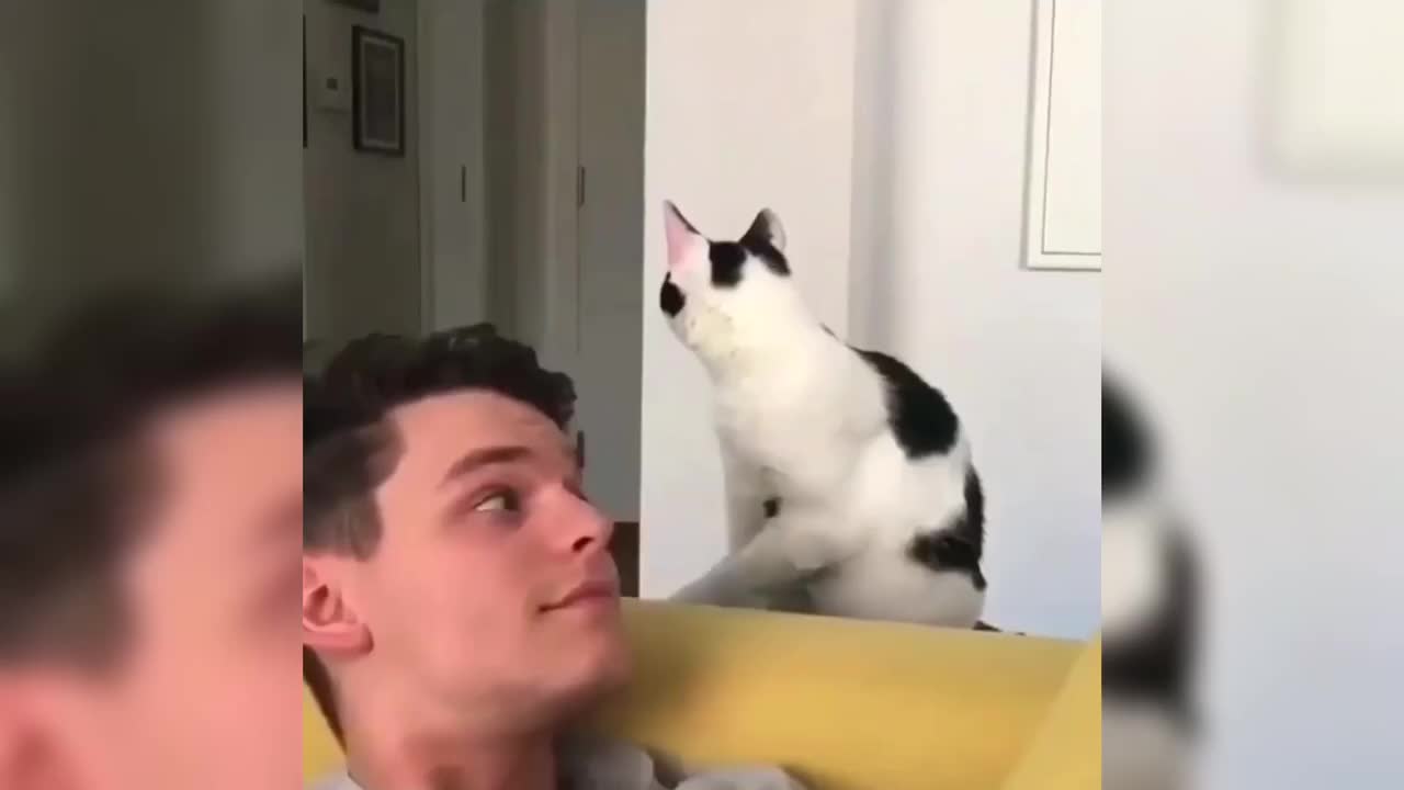 Cat Confused when he Watched 😂