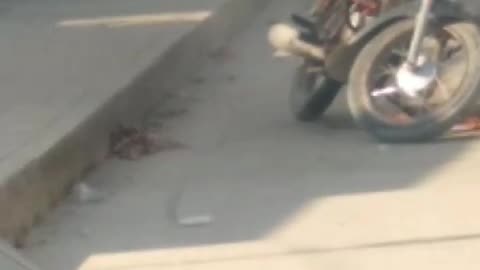 arjona muerto