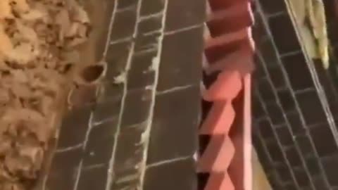 Expert Brick Layers