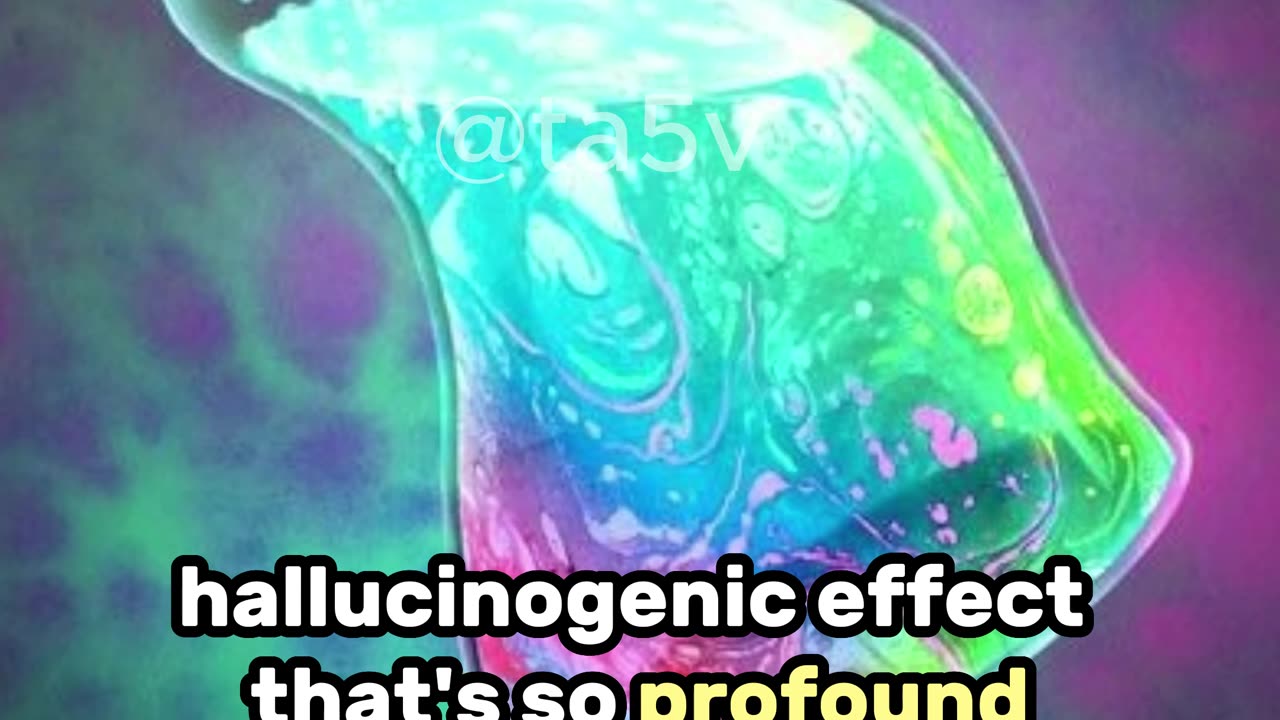 Joe Rogans Experience On DMT