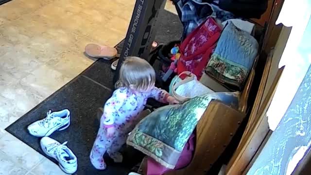 Toddler Takes Cash Out of Grandma's Purse