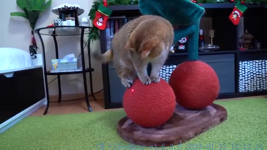 What is this red dot