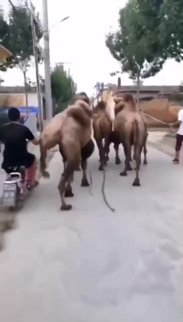 Don't overtake from wrong side.