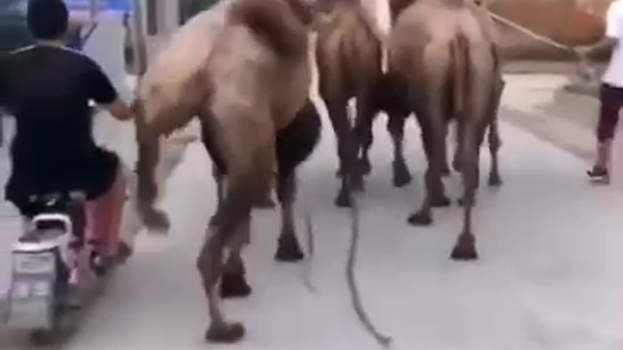 Don't overtake from wrong side.