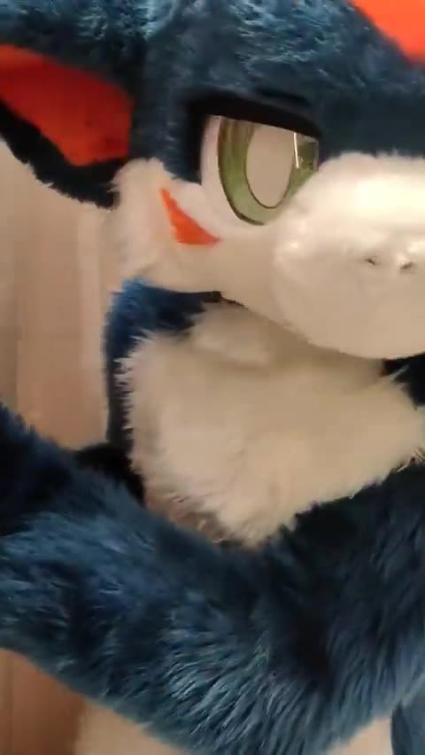 Why are you secretly filming me!!