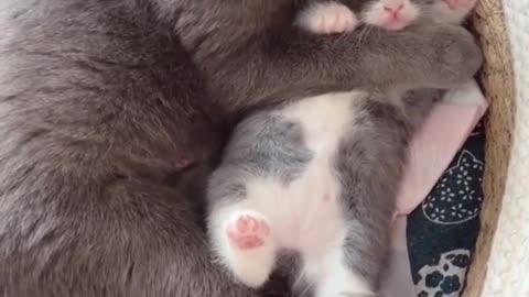Cute baby