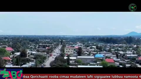 Oduu Ganama ONM-ABO Onkololessa 12-2024 itti dhiyaadhaa!