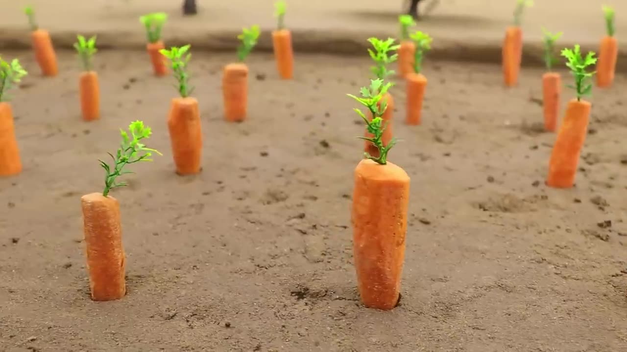 Carrot Farming using DIY Tactor