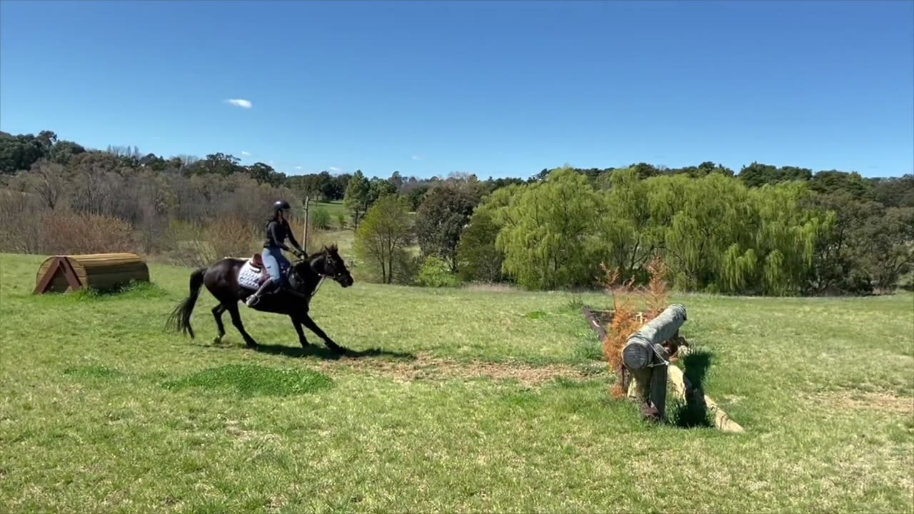 horse riding fails funny compilation