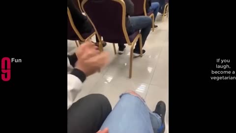 The Best Funny Compilation I Ever Seen