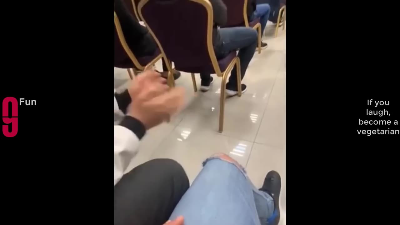 The Best Funny Compilation I Ever Seen