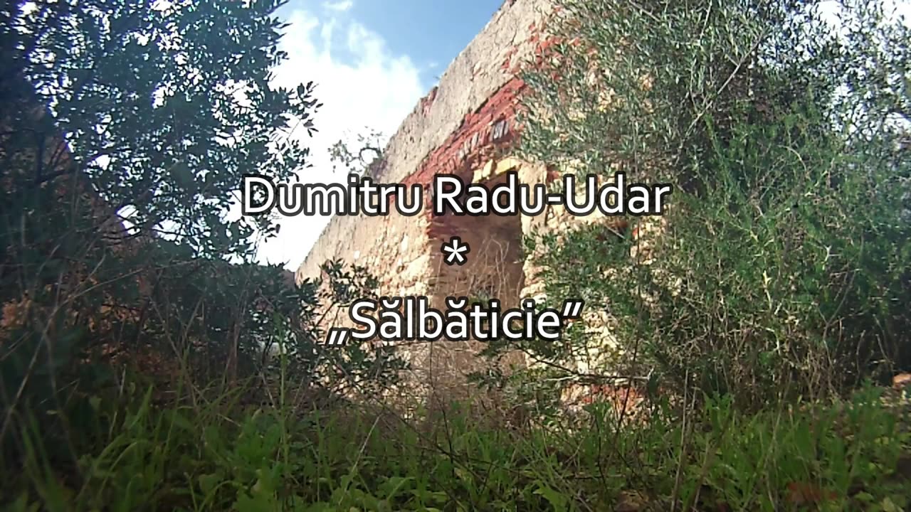 Dumitru Radu-Udar - Sălbăticie