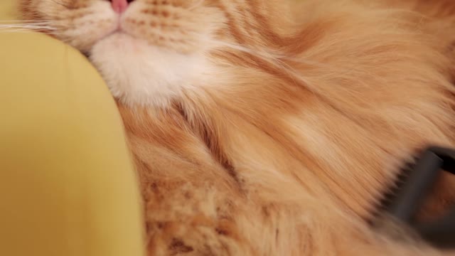 My lovely citiiiiiiiiiii