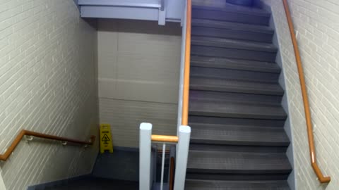 3892FHOB05Stair5_2021-01-05_02h15min19s883ms.mp4