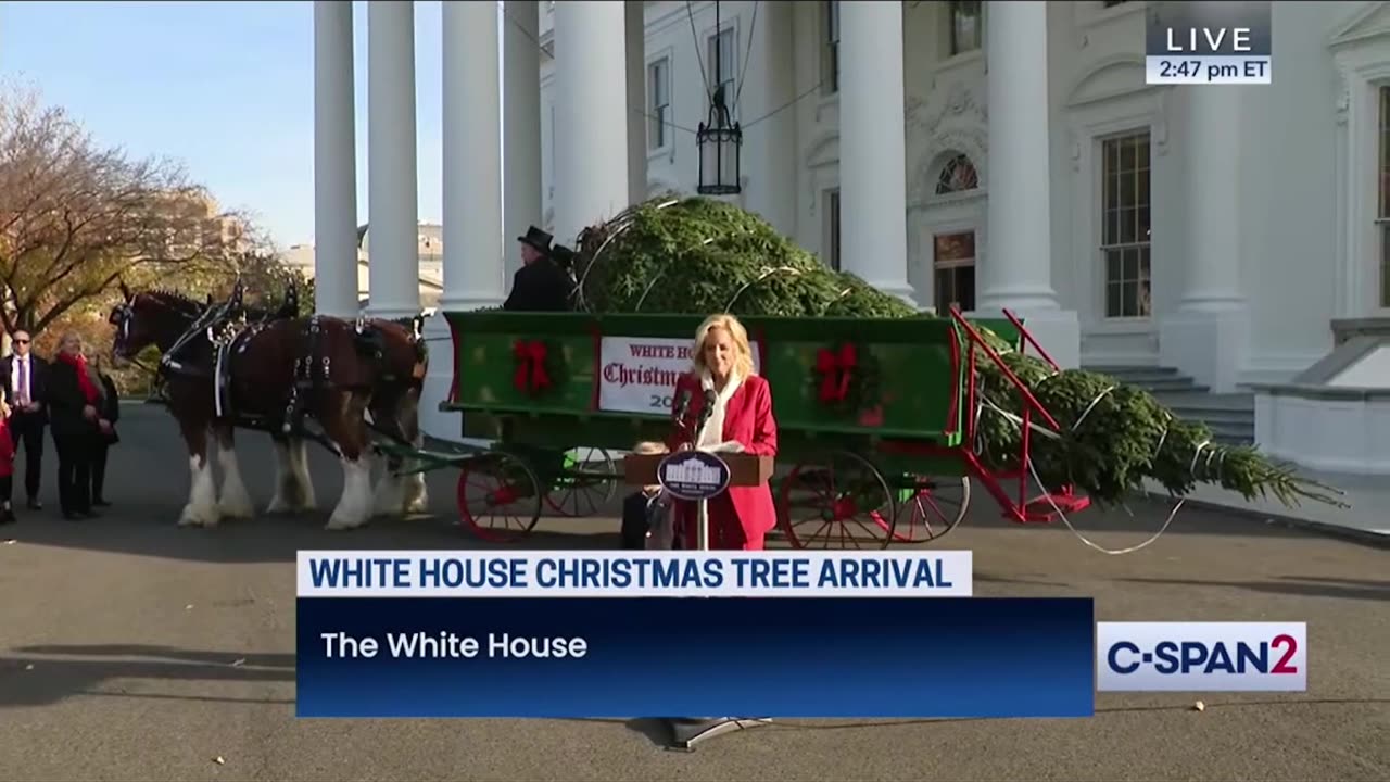 Last Tree Standing in NC Tree Farm is the WH Tree 2024