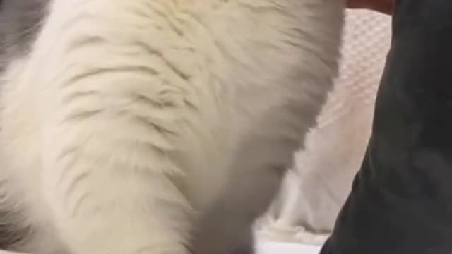Don't think just because your fists are big, I'm afraid of you!